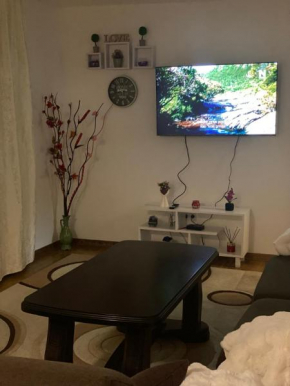 Apartment Dzeni